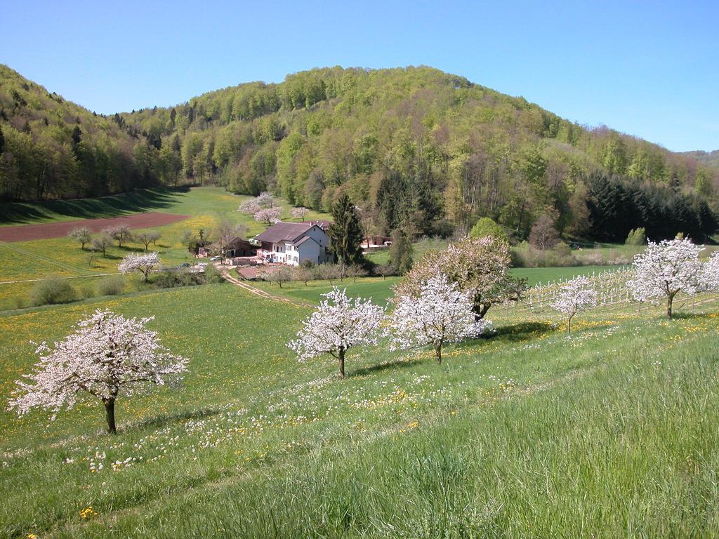 Bienenberg - Genusshotel Im Gruenen - Liestal